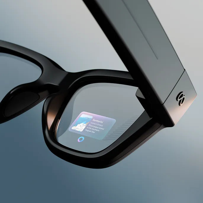Meta AI glasses